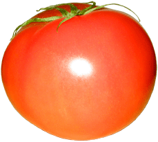 トマトにX線が！